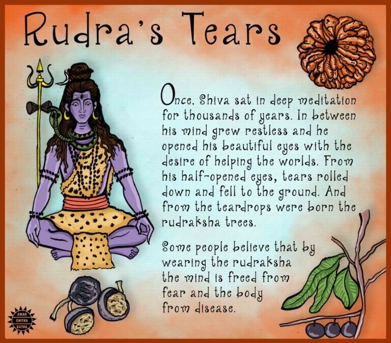 History And Origin Of Rudraksha History and origin of rudraksha