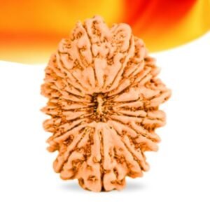 17 Mukhi Nepali Rudraksha Small Grade RLRN17SI Thumbnail