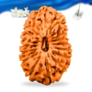 18 Mukhi Indonesian Rudraksha Super Collector Grade RLRI18SCI Thumbnail