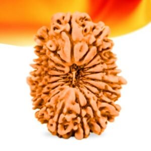 18 Mukhi Nepali Rudraksha Small Grade RLRN18SI Thumbnail