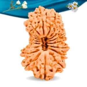 19 Mukhi Nepali Rudraksha Regular Grade RLRN19RI Thumbnail