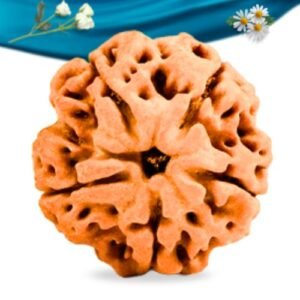 5 Mukhi Nepali Rudraksha Regular Grade RLRN5RI Thumbnail