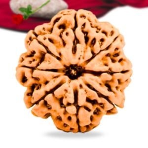 8 Mukhi Nepali Rudraksha Collector Grade RLRN8CI Thumbnail