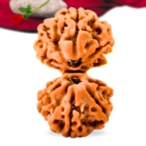 Gauri Shankar Nepali Rudraksha Collector Grade RLRNGSCI Thumbnail