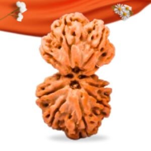 Gauri Shankar Nepali Rudraksha Large Grade RLRNGSLI Thumbnail
