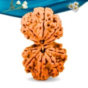 Gauri Shankar Nepali Rudraksha Regular Grade RLRNGGRI Thumbnail