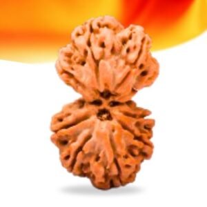 Gauri Shankar Nepali Rudraksha Small Grade RLRNGSSI Thumbnail