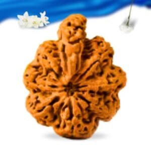 Savar Naag Nepali Rudraksha Super Collector Grade RLRNSNSCI Thumbnail