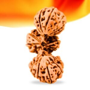 Trijuti Indonesian Rudraksha Small Grade RLRITSI Thumbnail