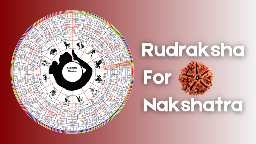 Rudraksha Based On Nakshatra Featured Image