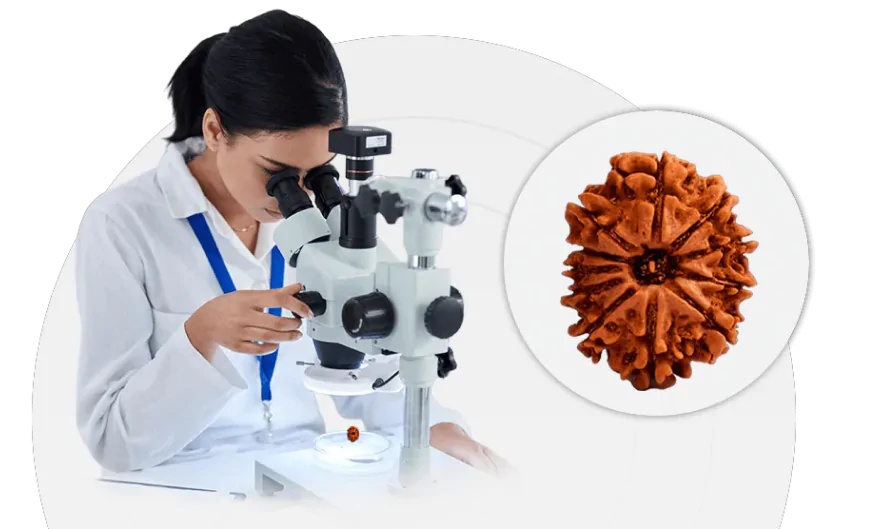 Our lab technician at rudraksha lovers, examining a rudraksha bead under a microscope.