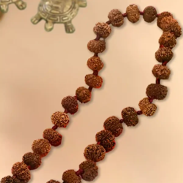 14 mukhi rudraksha nepali kantha mala in thread - image 2
