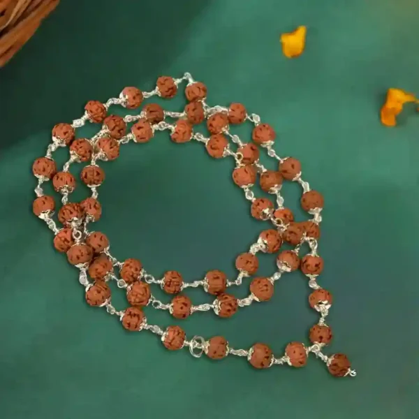 6 mukhi rudraksha mala in silver - image 2
