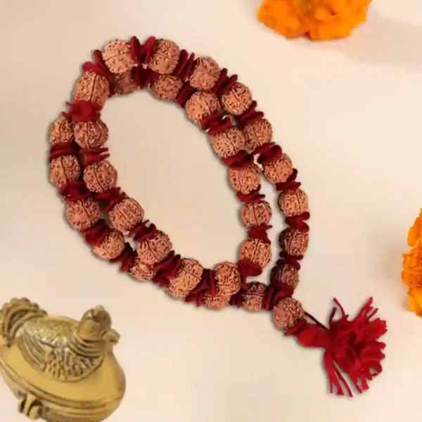 6 mukhi rudraksha nepali kantha mala - image 2