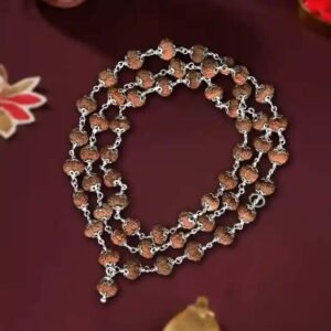 12 Mukhi Rudraksha Mala in Silver