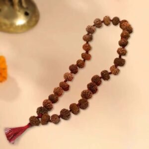 12 Mukhi Rudraksha Nepali Kantha Mala in Thread