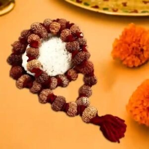 13 Mukhi Rudraksha Nepali Kantha Mala