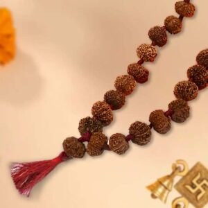 14 Mukhi Rudraksha Mala in Thread