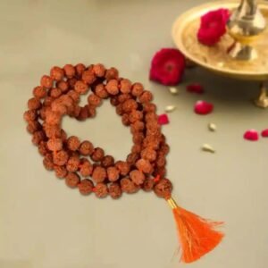 6 Mukhi Rudraksha Mala in Thread