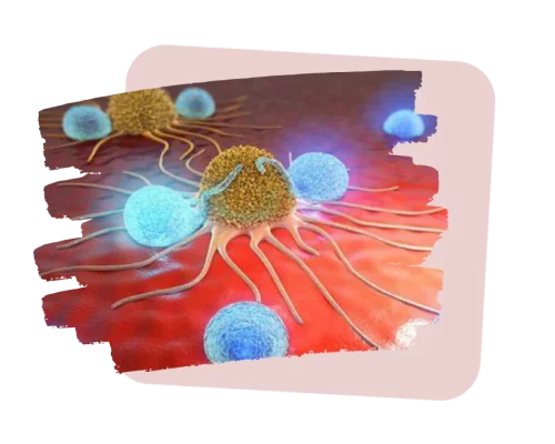 Best rudraksha for managing cancer treatments and symptoms