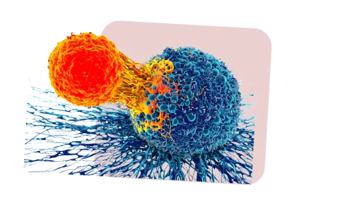 Symptoms and causes of cancer and other bodily problems associated with cancer